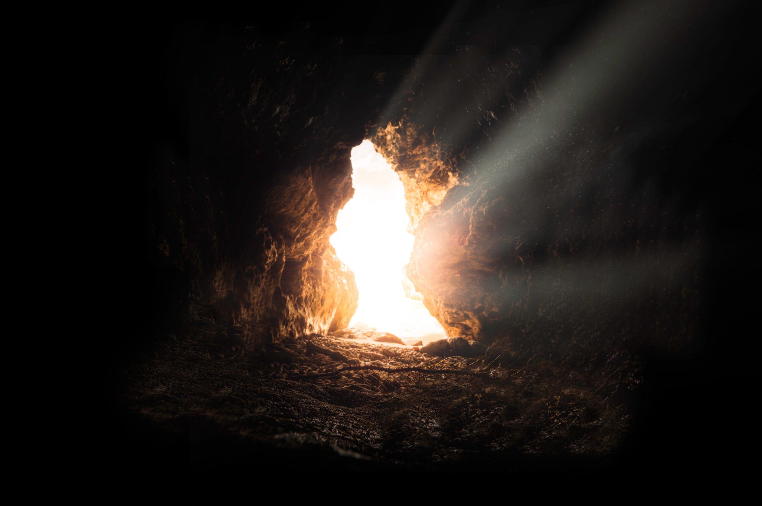 bruno-van-der-kraan-v2HgNzRDfII-unsplash bruno-van-der-kraan-v2HgNzRDfII-unsplash